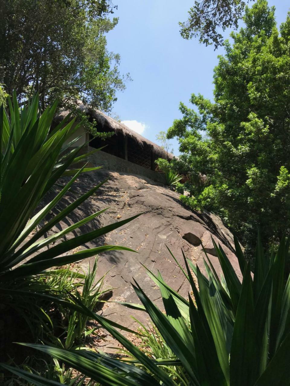 Galapita Eco Lodge Buttala Luaran gambar