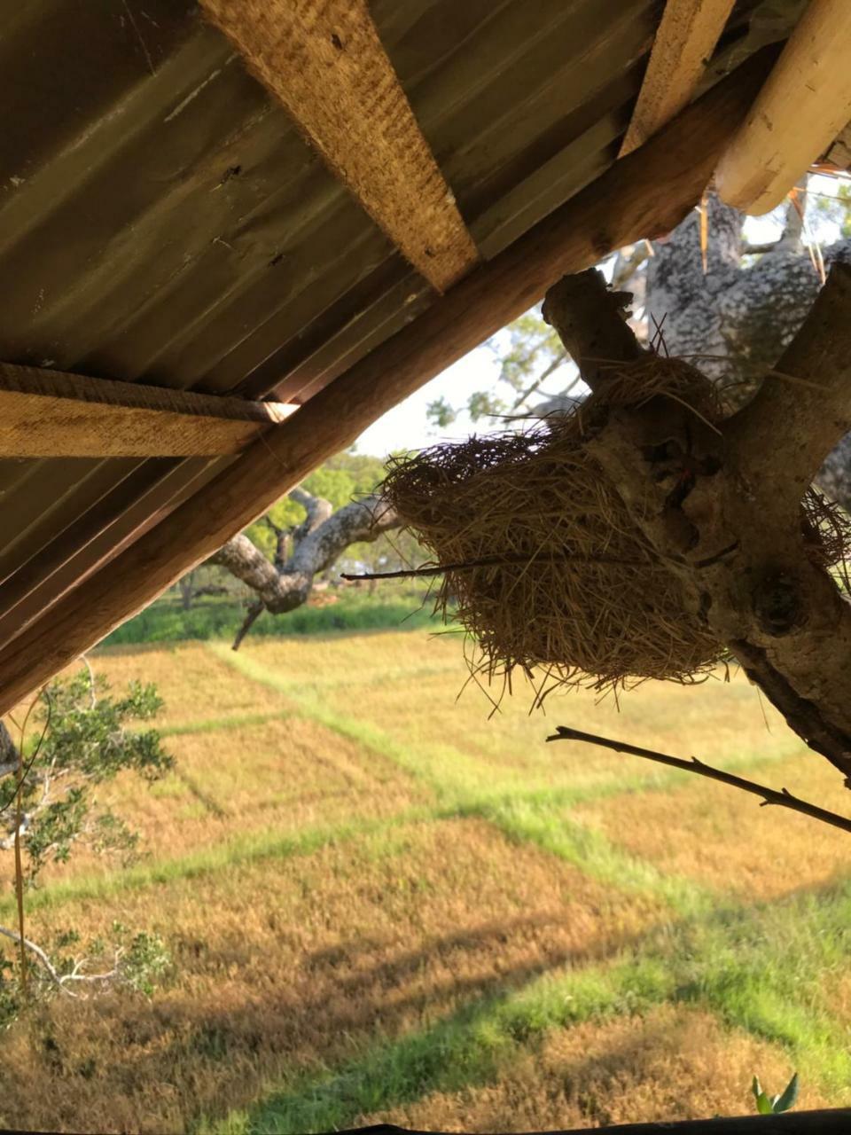 Galapita Eco Lodge Buttala Luaran gambar