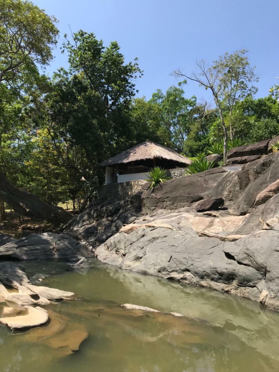 Galapita Eco Lodge Buttala Luaran gambar