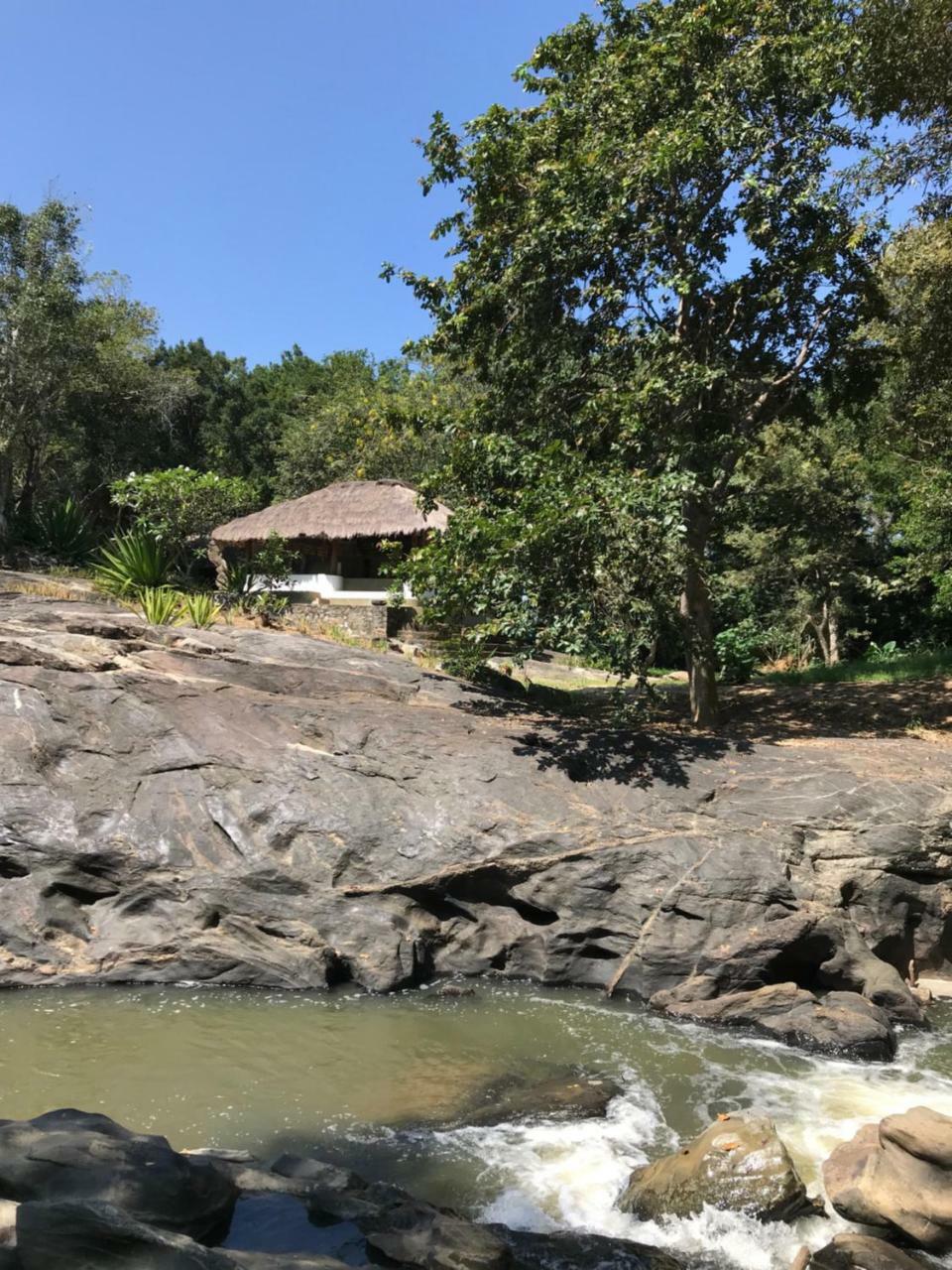 Galapita Eco Lodge Buttala Luaran gambar
