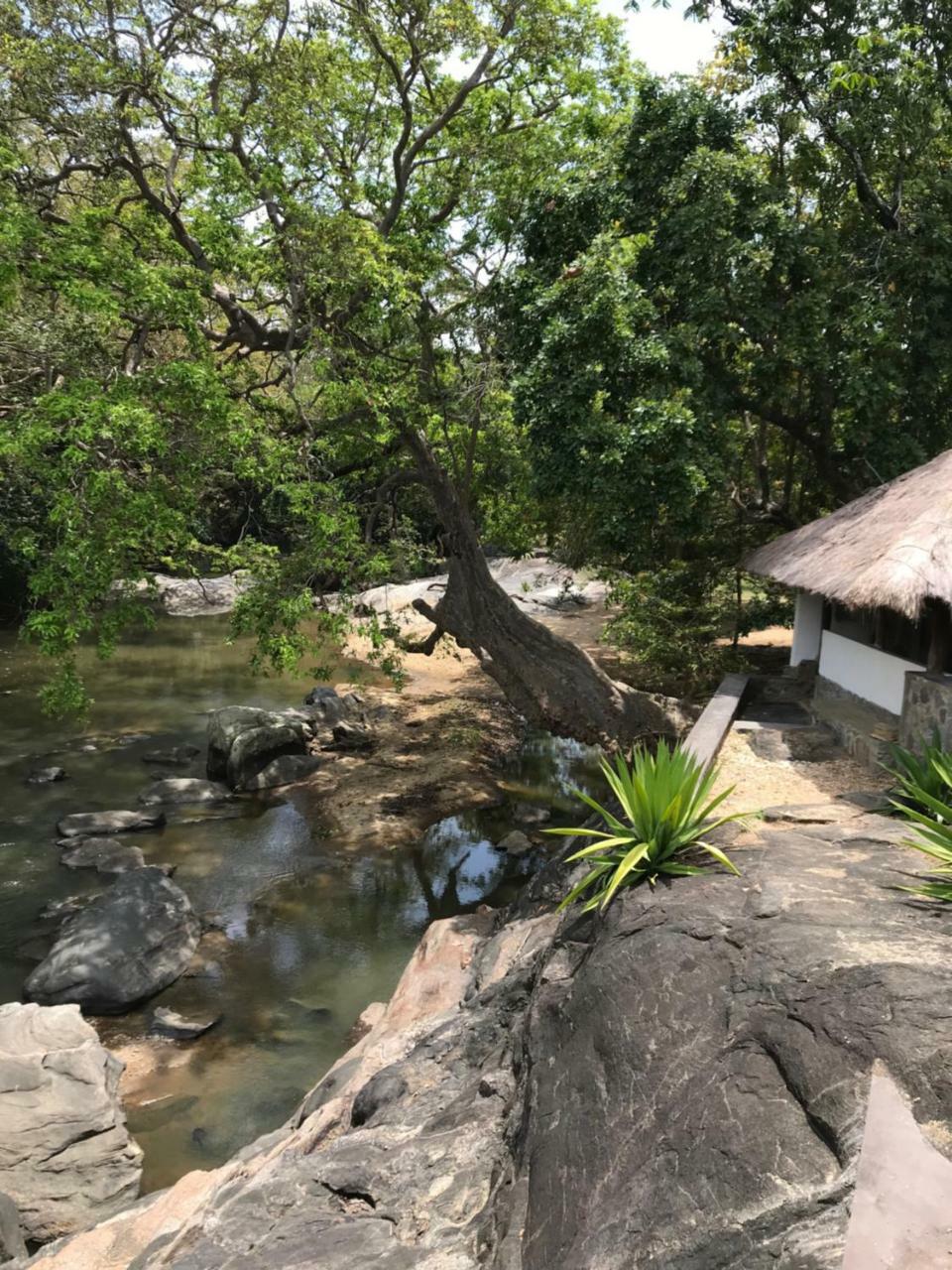 Galapita Eco Lodge Buttala Luaran gambar