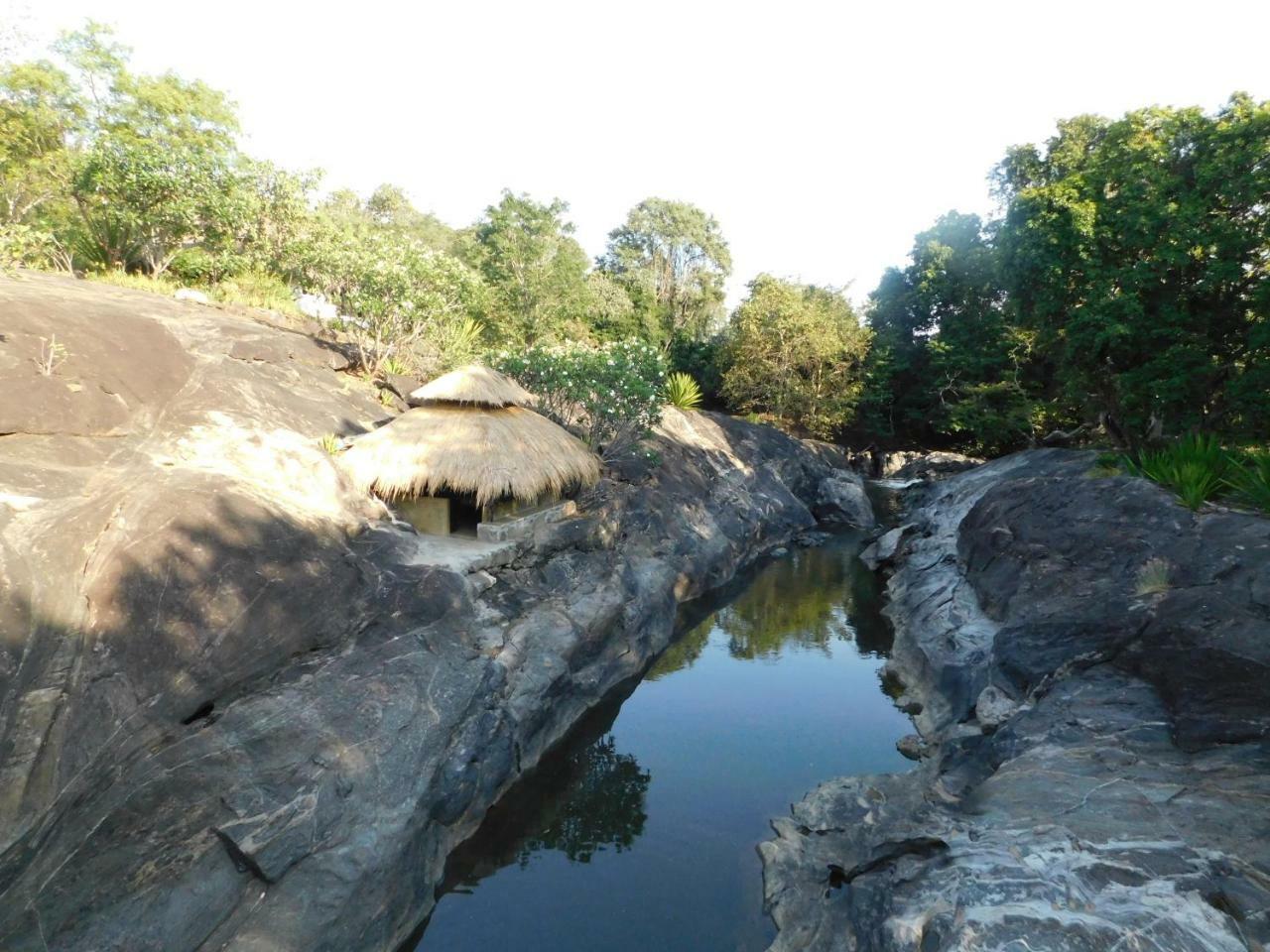 Galapita Eco Lodge Buttala Luaran gambar