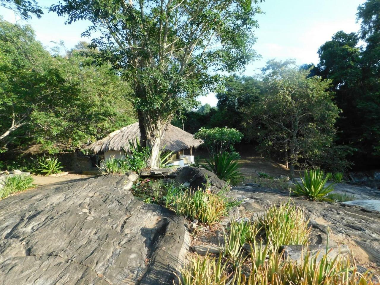 Galapita Eco Lodge Buttala Bilik gambar