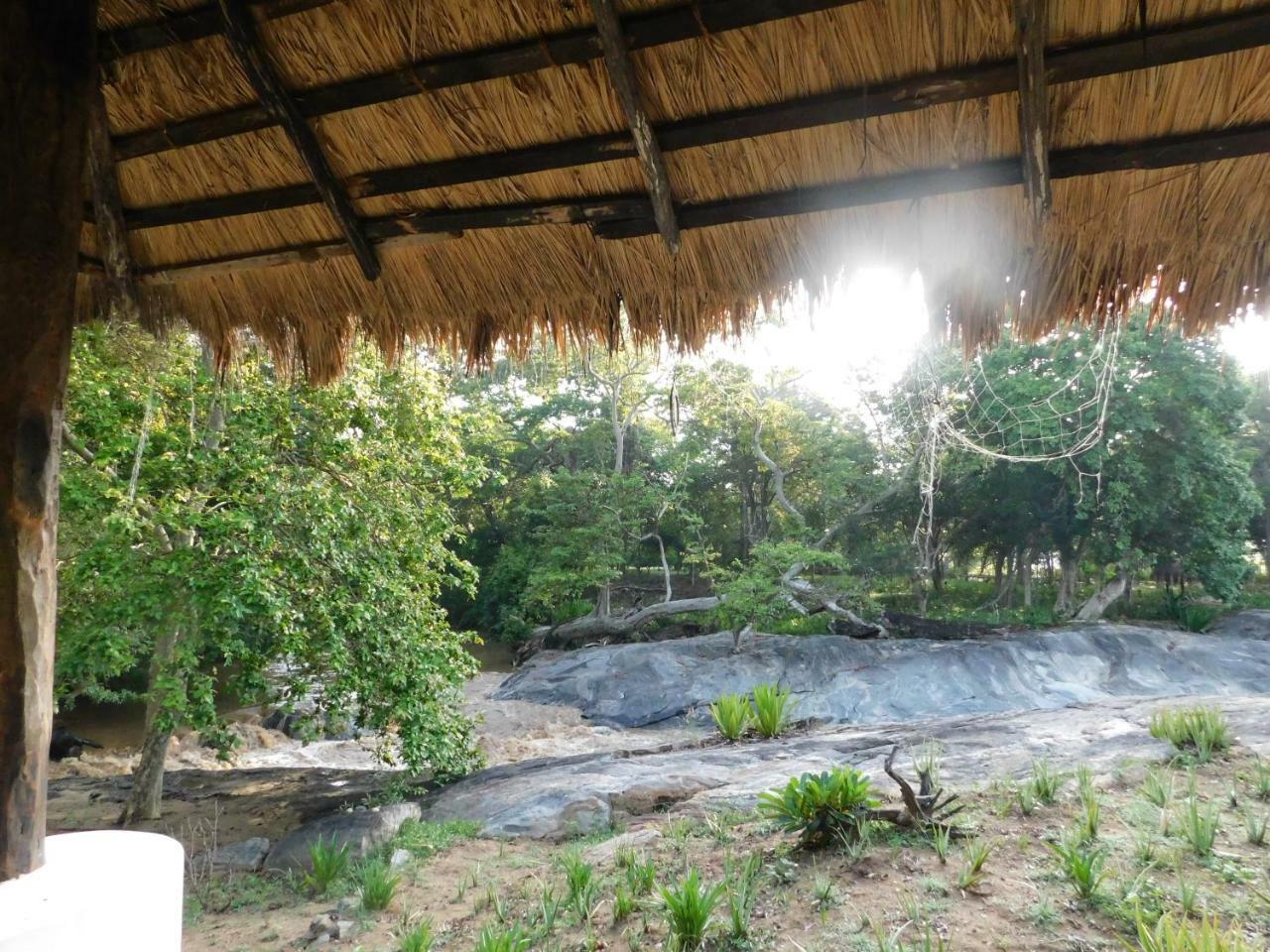 Galapita Eco Lodge Buttala Bilik gambar