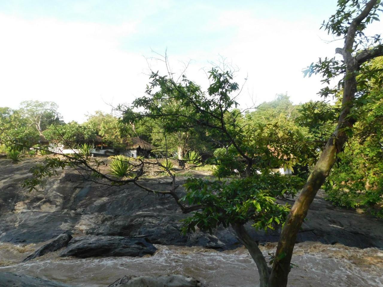 Galapita Eco Lodge Buttala Bilik gambar