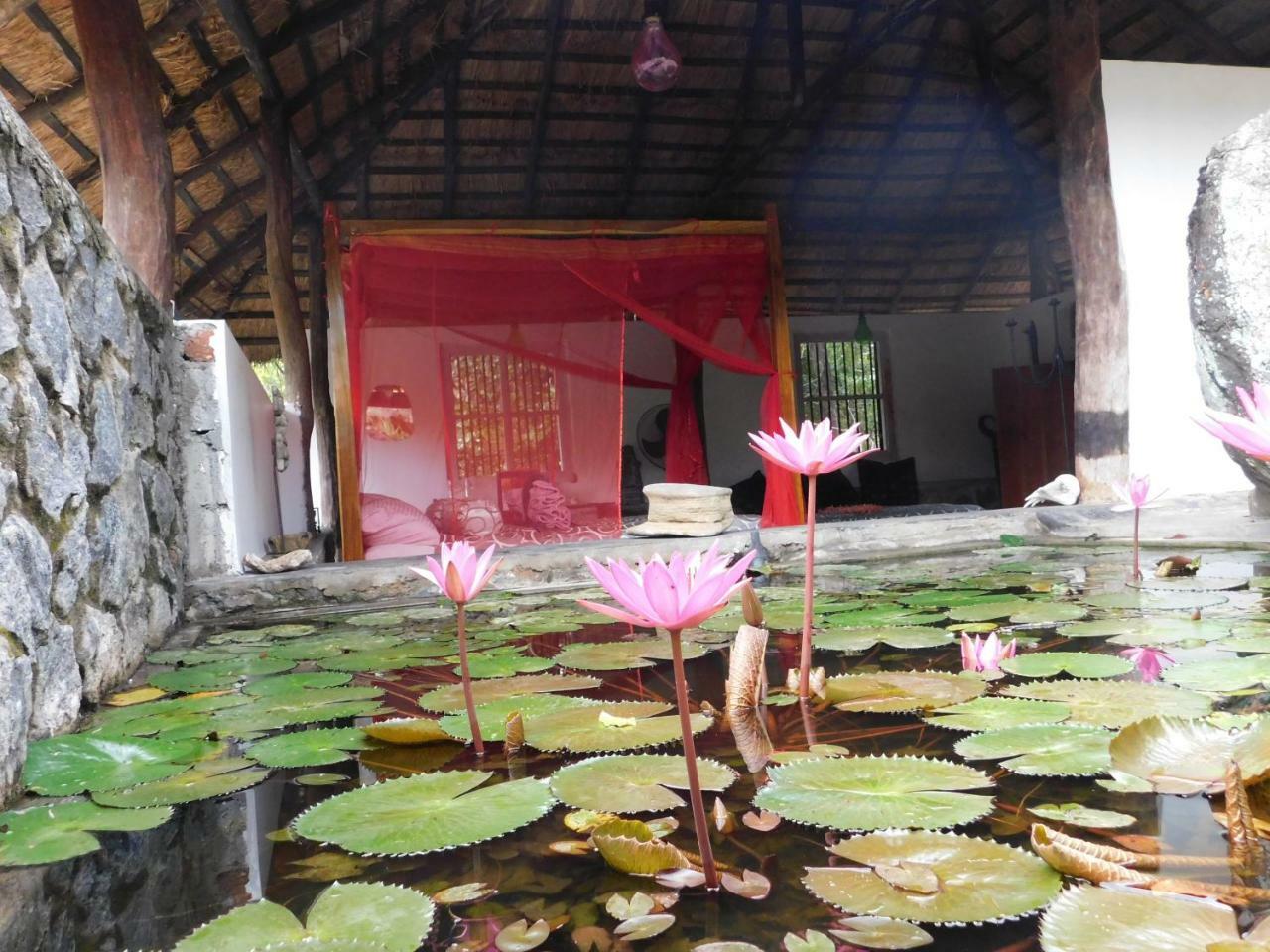 Galapita Eco Lodge Buttala Bilik gambar