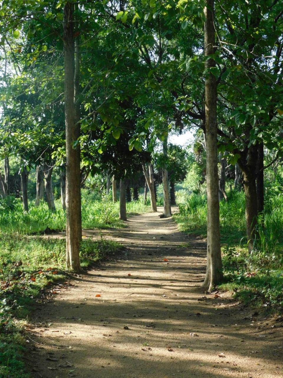Galapita Eco Lodge Buttala Luaran gambar