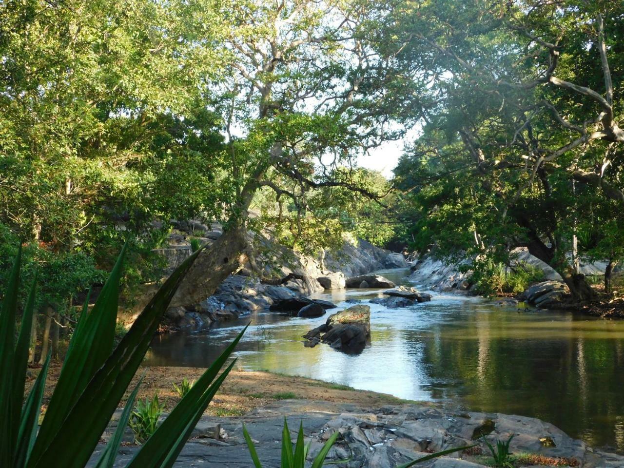 Galapita Eco Lodge Buttala Luaran gambar