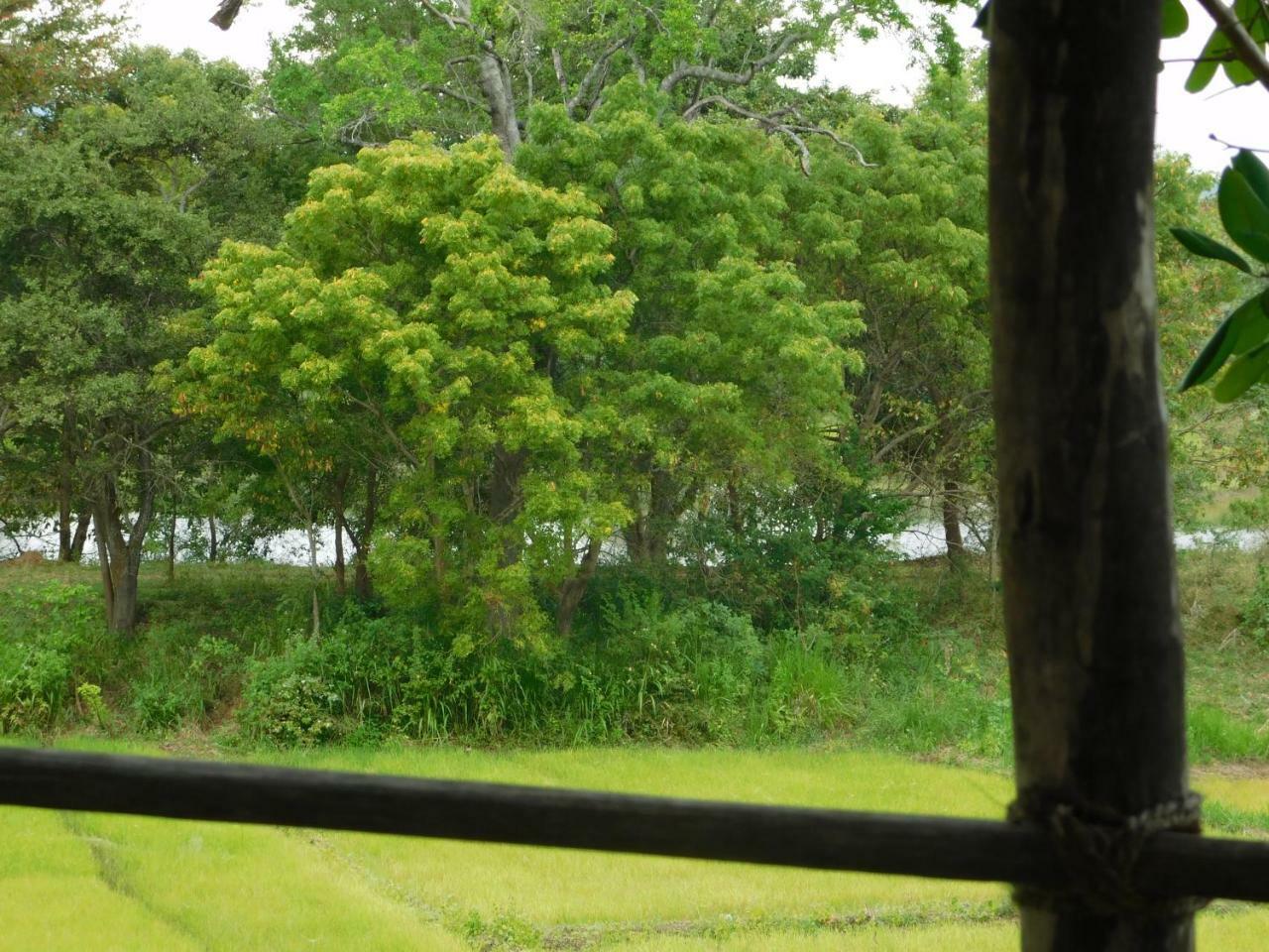 Galapita Eco Lodge Buttala Luaran gambar