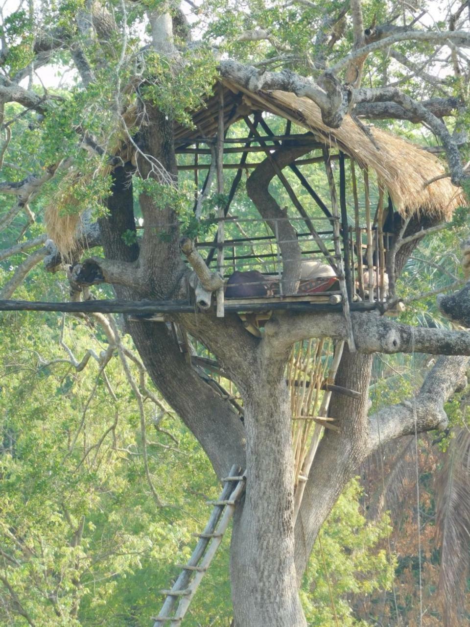 Galapita Eco Lodge Buttala Luaran gambar